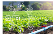 Applications and Platform Designs of Intelligent Sensing Technologies in Agriculture: A Systematic Review